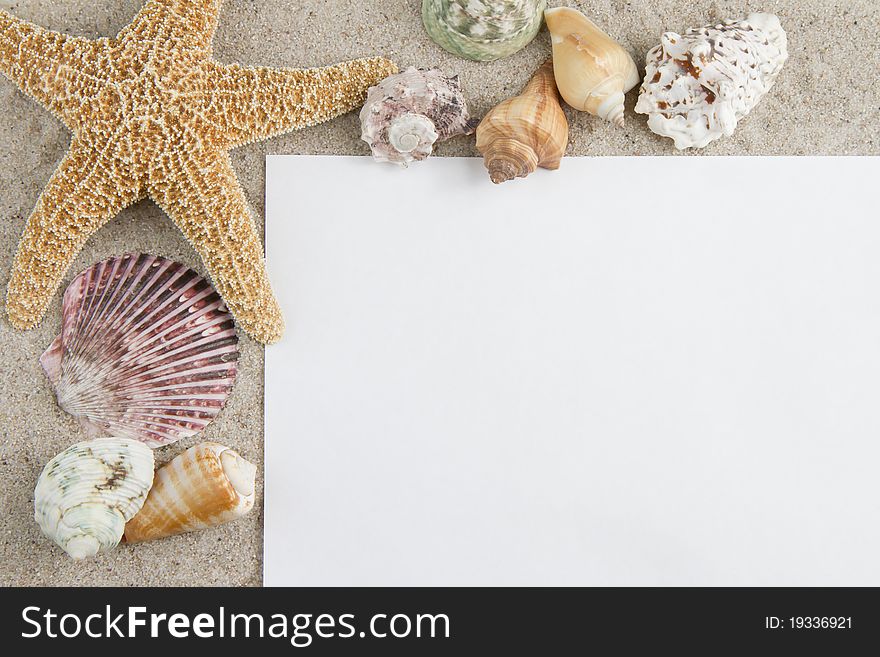 Starfish and sea shells on sand frame. Starfish and sea shells on sand frame