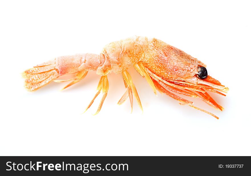 Cooked shrimp isolated on white.