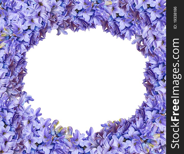 Frame from hyacinths on white background. Frame from hyacinths on white background
