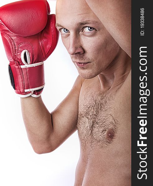 Confident boxer on white background. Confident boxer on white background