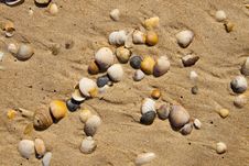 Small Seashells Over Sand Stock Photo Small Seashells Over Sand Stock Photo