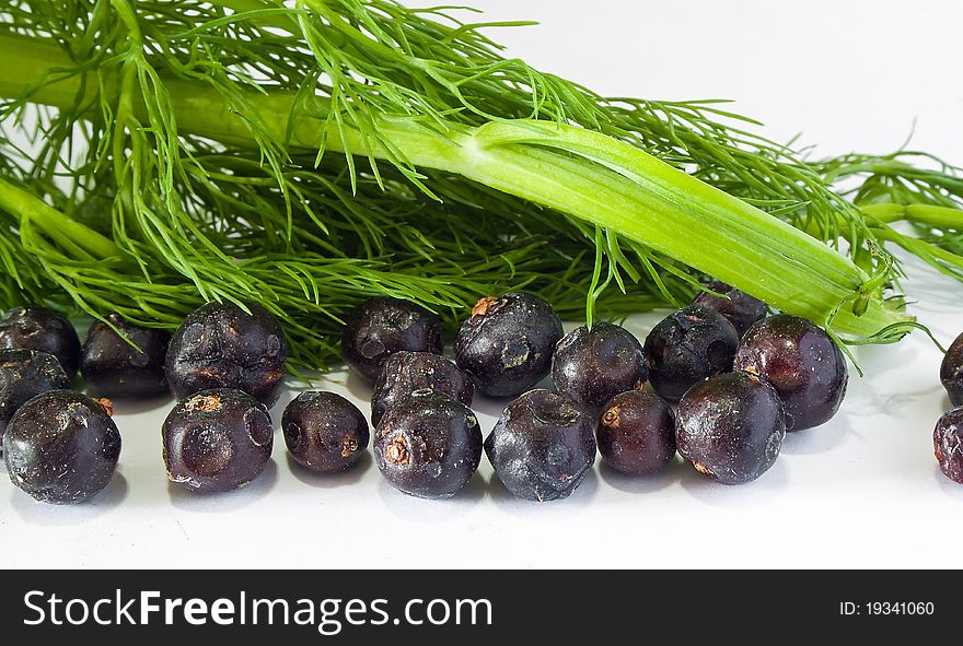 Juniper barries with leaf of salad