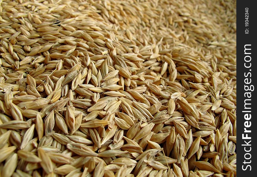 Wheat grains on a market