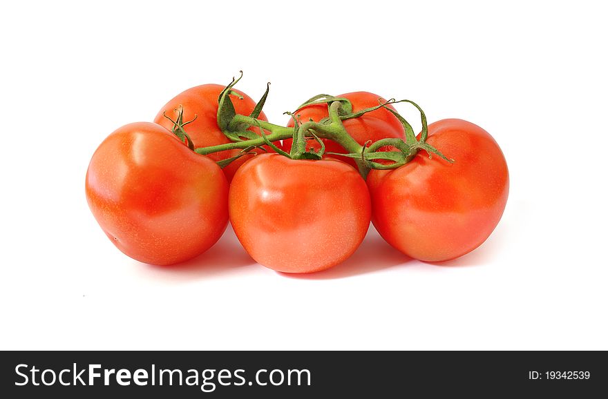 Fresh tomatoes with green leaves on white