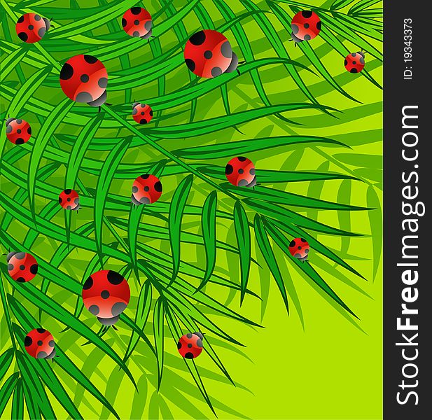 Green background with small ladybug for a design
