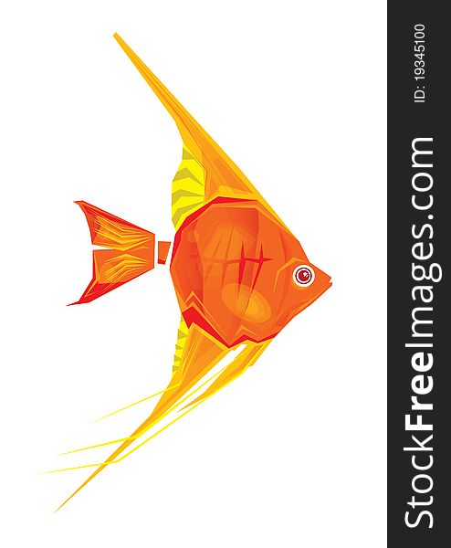 Vector illustration of red and yellow fish. Vector illustration of red and yellow fish.