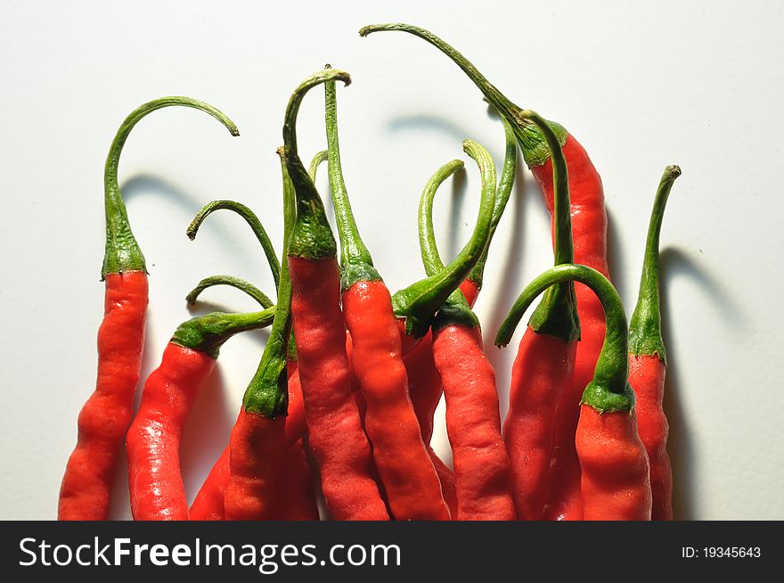 Curly red chillies. plants that require high light intensity and rainfall slightly. Curly red chillies. plants that require high light intensity and rainfall slightly