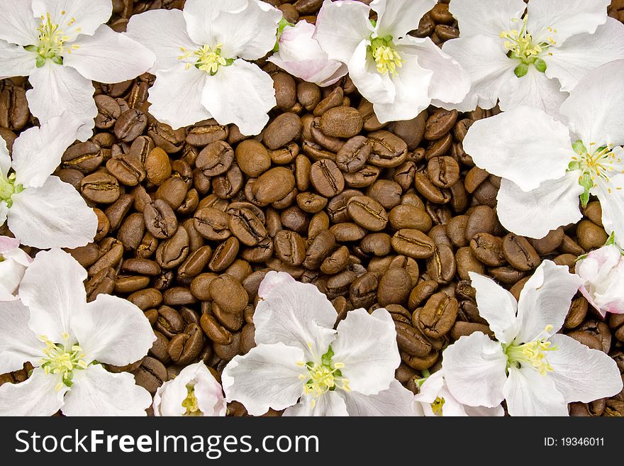 Coffee and white apple blossoms