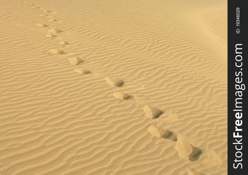 Footsteps in sand in Sahara deserts. Footsteps in sand in Sahara deserts