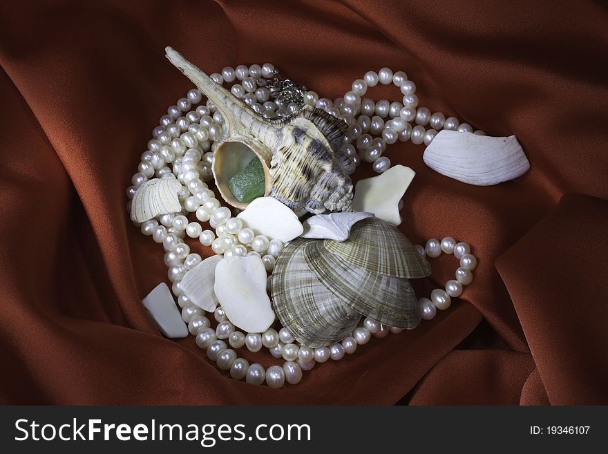 Sea composition on silk from cockleshells and pearls. Sea composition on silk from cockleshells and pearls