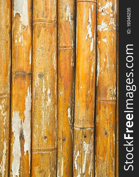 Japanese bamboo texture good for background. Japanese bamboo texture good for background