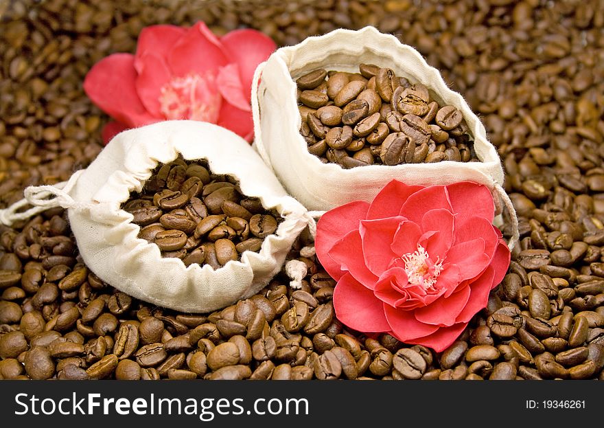 Coffee and pink camellia blossoms