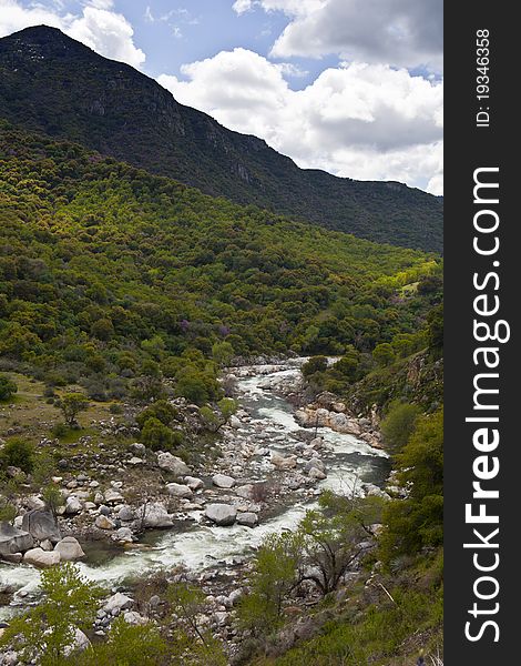 Mountain quick spring river at sunny day