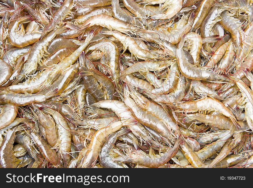 Fresh shrimp,look like background.