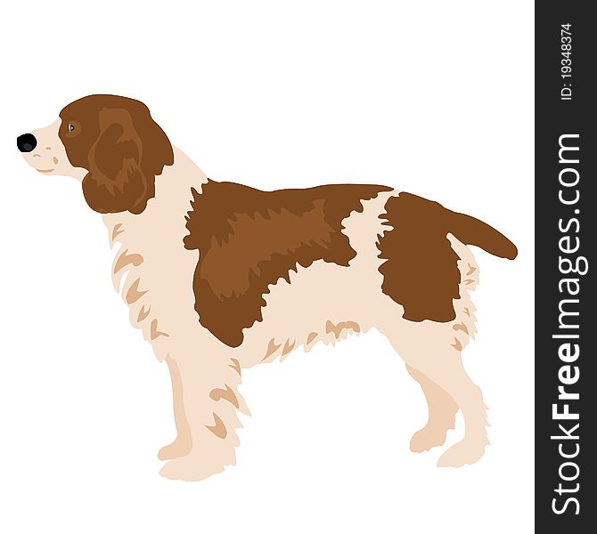 Illustration of the dog on white background. Illustration of the dog on white background