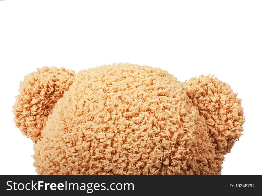 Head of fluffy teddy bear over white background