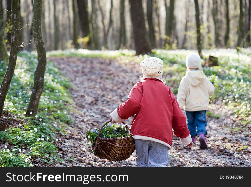 An image of two sisters walking n the wood