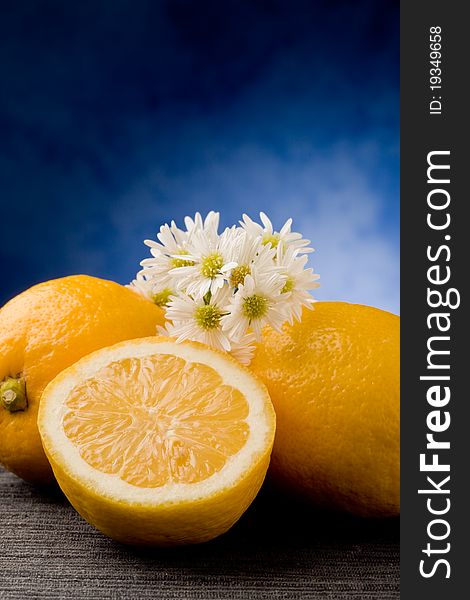 Photo of delicious yellow lemon fruit with marguerite on blue background