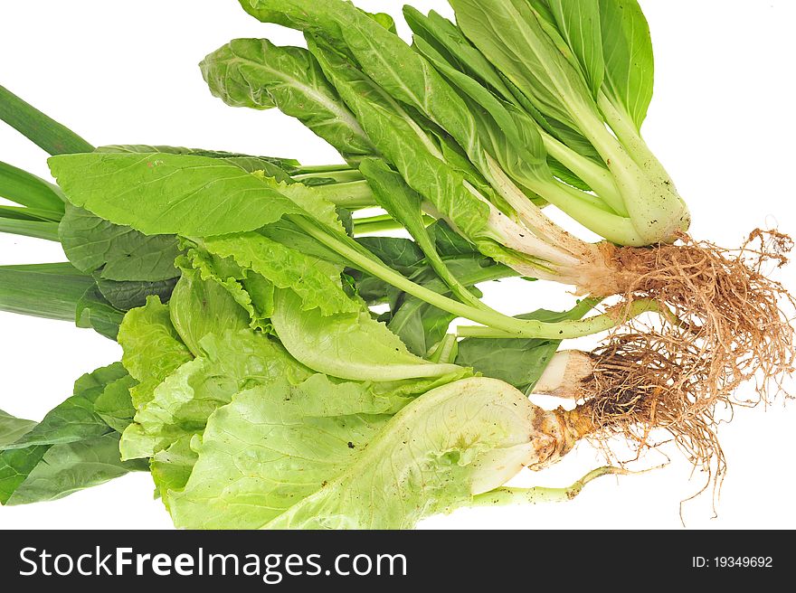 Assortment  Of Freshly Harvested Green Vegetables, Image Is Isolated On White Background