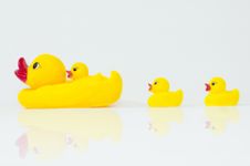 Rubber Ducks Stock Image