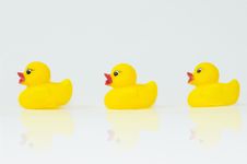 Rubber Ducks Stock Photos Rubber Ducks Stock Photos
