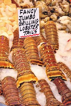 Fresh Lobster Tails Royalty Free Stock Image