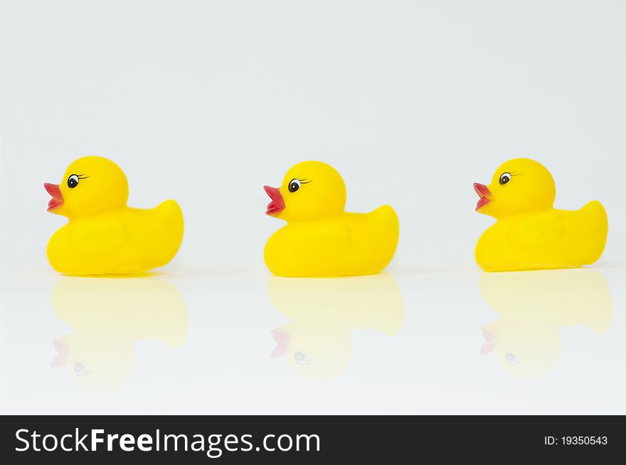 The yellow rubber duck toys. The yellow rubber duck toys