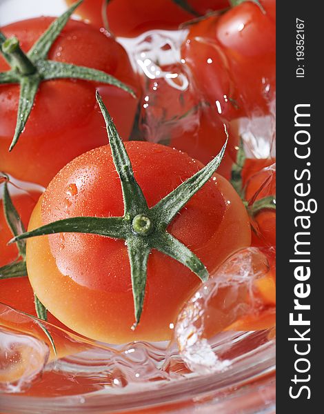 Fresh Tomato Fruits