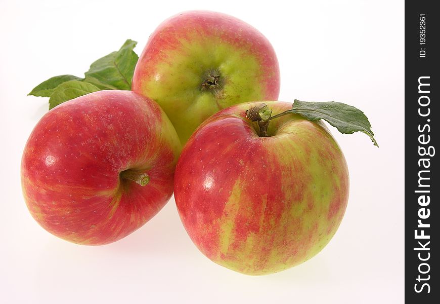 Group of three gravensteiner apples with leaves