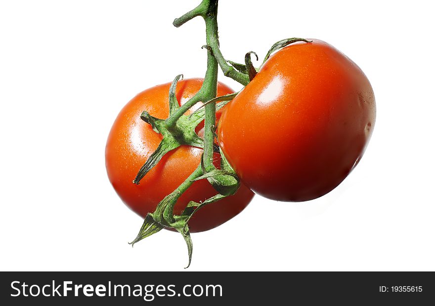 Vegetables, tomatoes on a branch. White background.