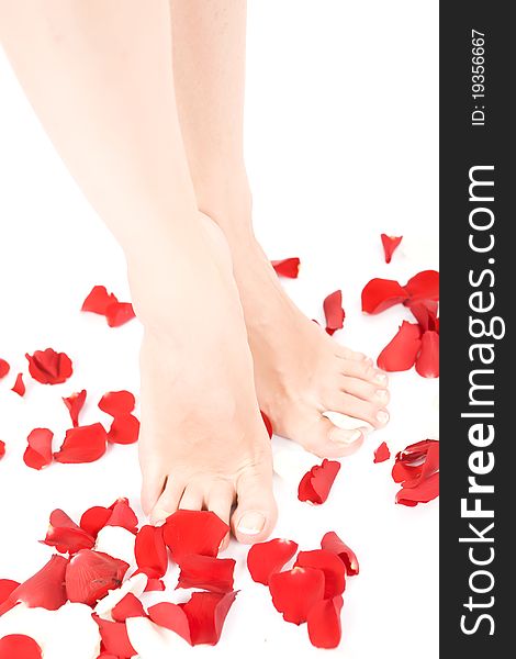 Footcare & flower concept on isolated white