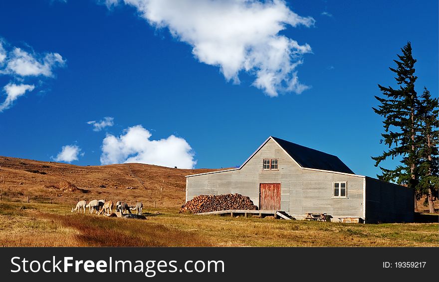 A Wooden Farmhouse On Grassland With Alpaca By The