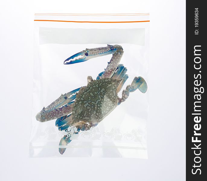 Fresh crab in the plastic zipper bag