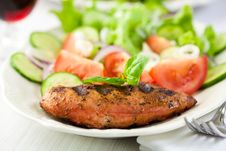 Grilled Chicken Fillet With Vegetable Salad Stock Photography Grilled Chicken Fillet With Vegetable Salad Stock Photography