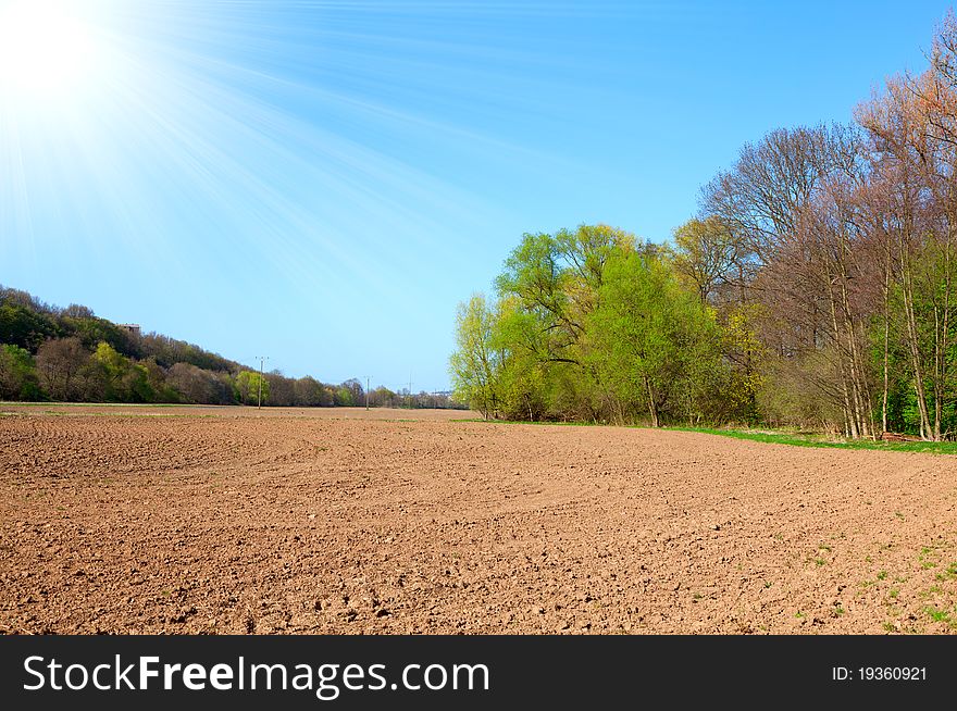 Agriculture field with sunlight, in the springtime