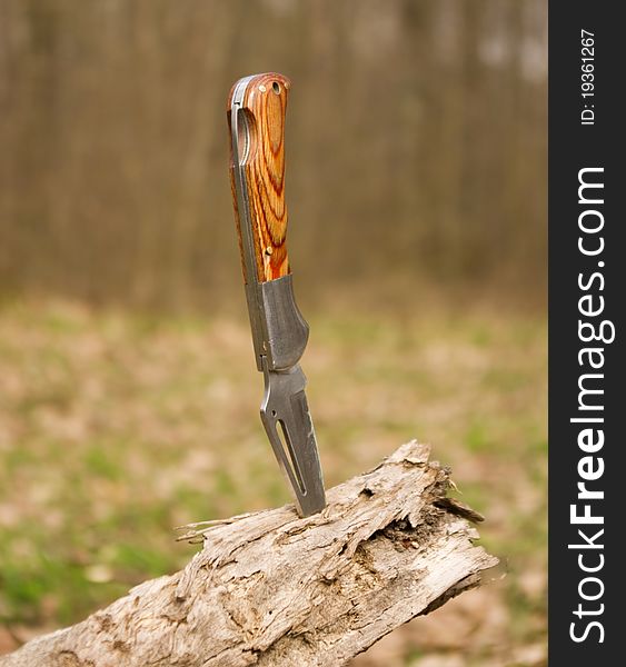 Knife in the tree on forest background
