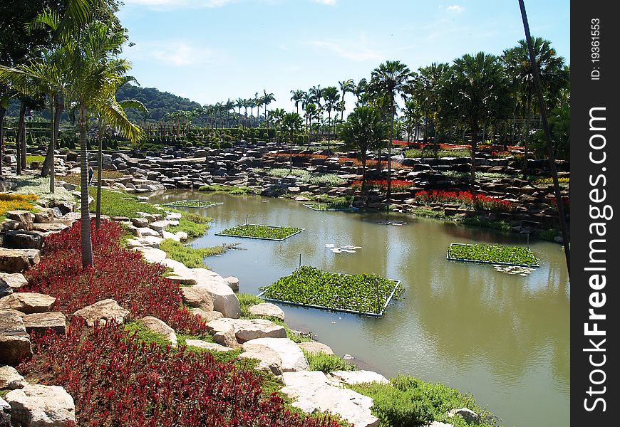 Tropical Water Garden