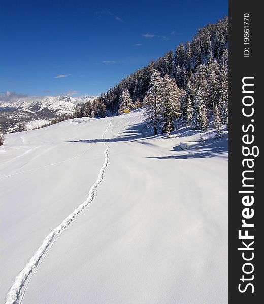 Footprints in the snow in the mountains