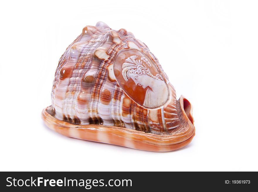 An Antique handcrafted seashell as a decretive object and very popular in the Victorian era. An Antique handcrafted seashell as a decretive object and very popular in the Victorian era.