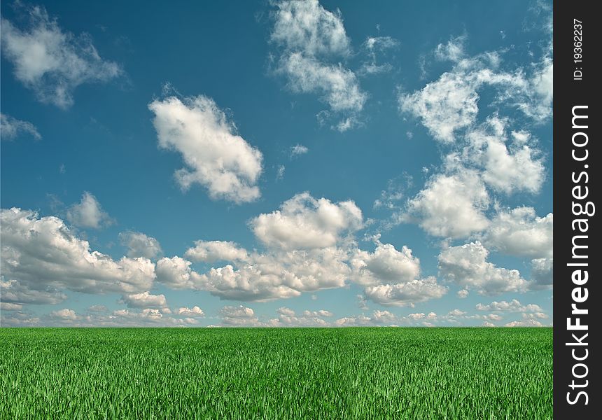 Green meadow on background of clouds