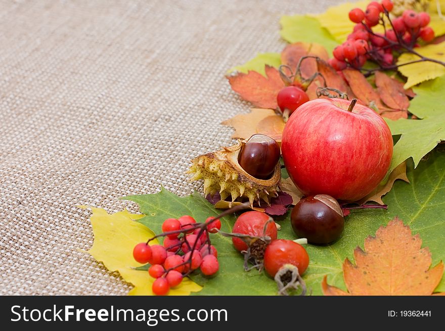 Autumn Leaves and fruits over Burlap background