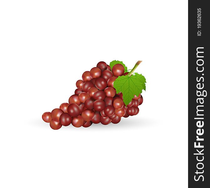 Illustration of grapes with leaf on white background