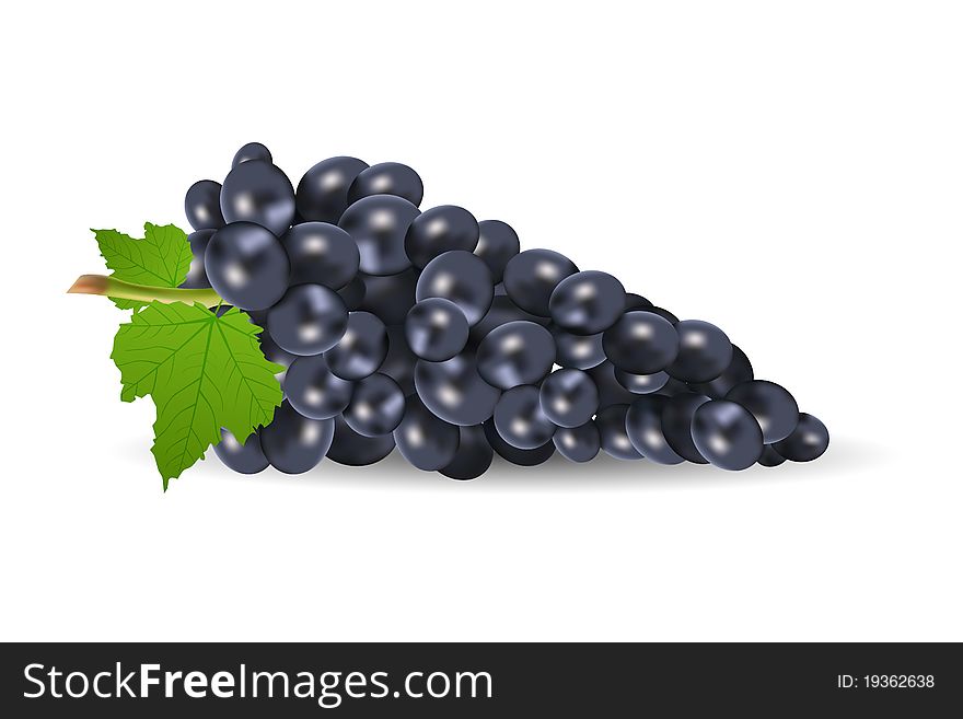 Illustration of grapes with leaf on white background