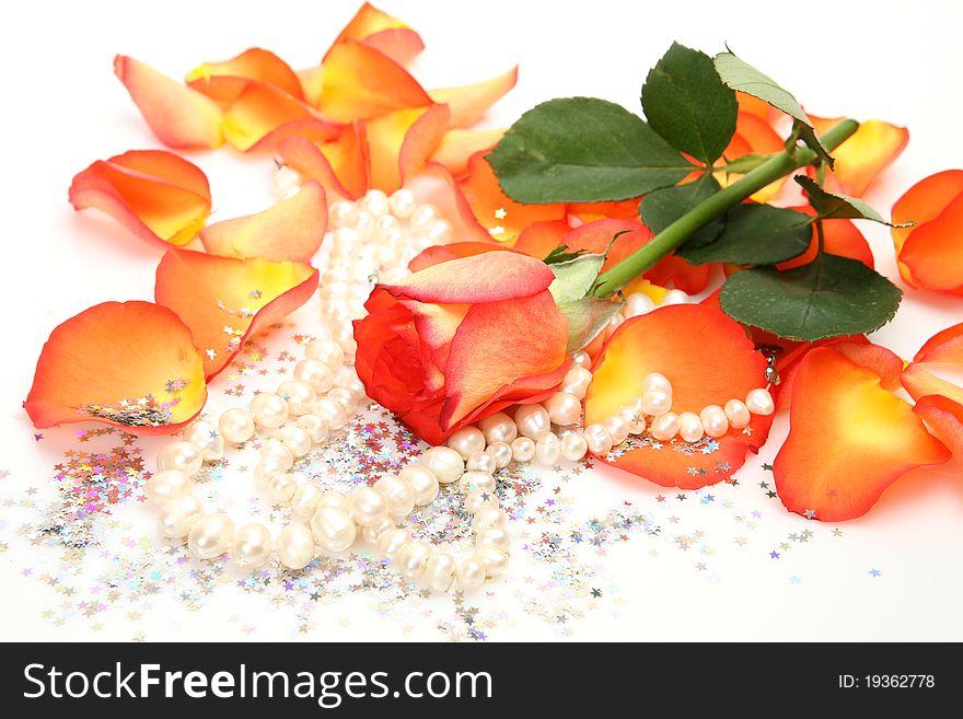Rose and pearls on a white background