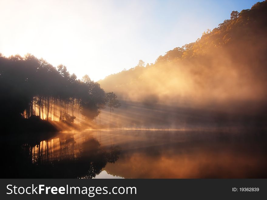 Reflection Of Forest In Sunrise, North Of Thailand