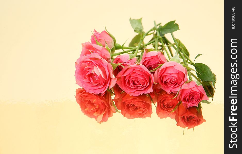 Pink roses on a gold background