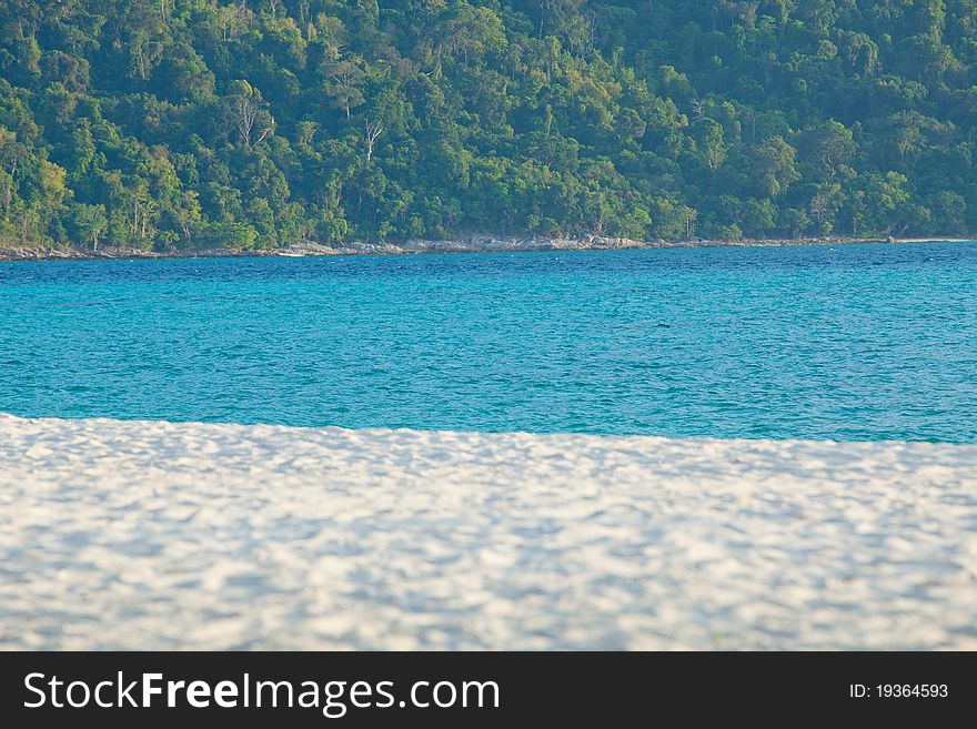 Sand beach, sea and tree background. Sand beach, sea and tree background