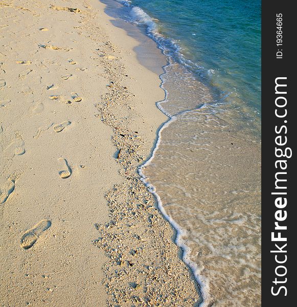 Sand beach and sea background