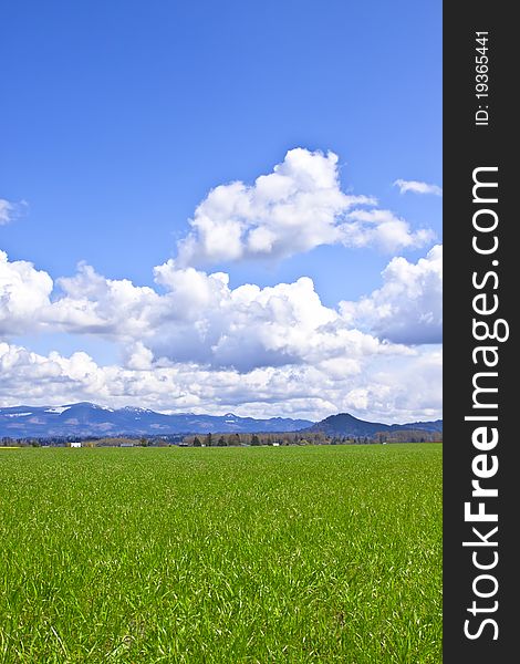 Outdoor spring view on a green field with blue sky and clouds