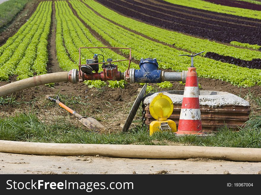 Preparation of watering cultivated land. Preparation of watering cultivated land
